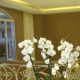 g7/palace_hotel_spa_durres_5.jpg