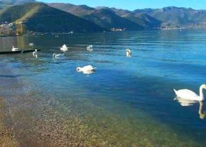 Korce - Pogradec - Oher, 3 Dite me guide